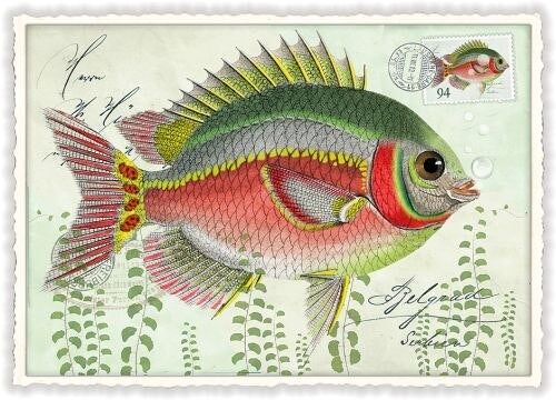 Poisson (SKU: PK614)