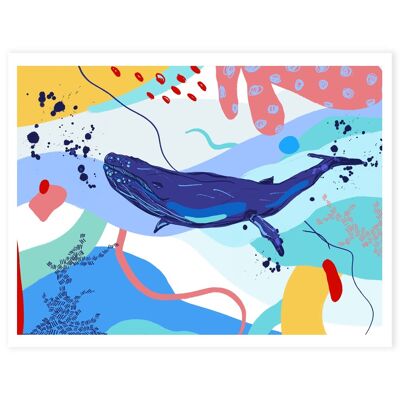print whale