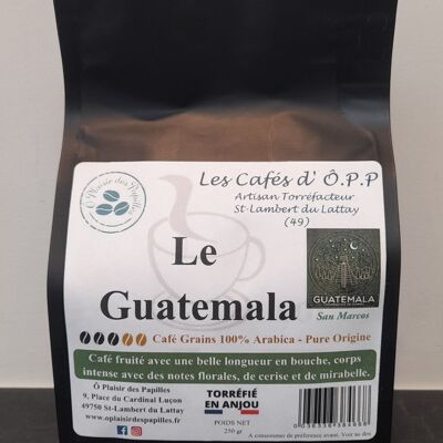 Le Guatemala Grains