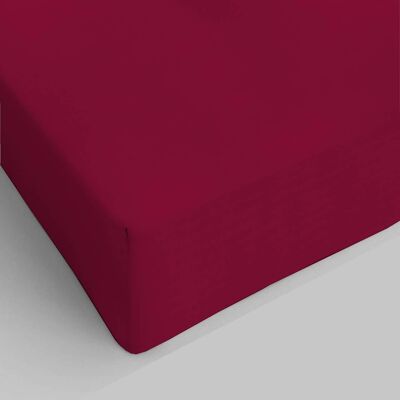 Single Bordeaux Fitted Sheet Pure Cotton