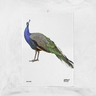 Strofinaccio, uccellini, 100% cotone, modello Royal Peacock