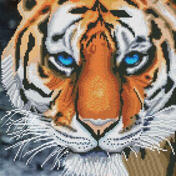 Peinture au diamant - yeux bleus de tigre 2