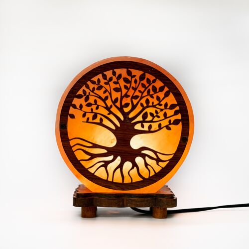 Crafted Himalayan Salt Lamp with Tree of Life Wood Carving