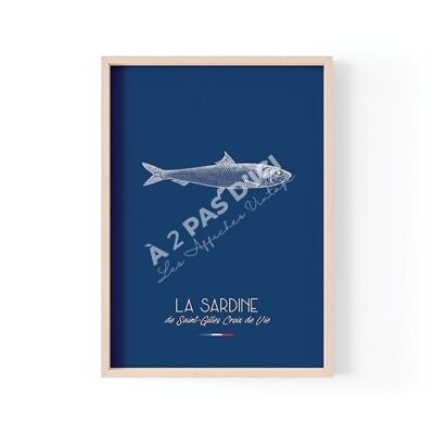 Poster di sardine