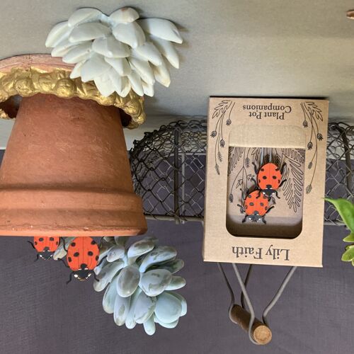Ladybird Plant Pot Companions