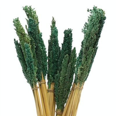 CGB-08 - Cantal Grass Bunch - Teal - Sold in 6x unit/s per outer