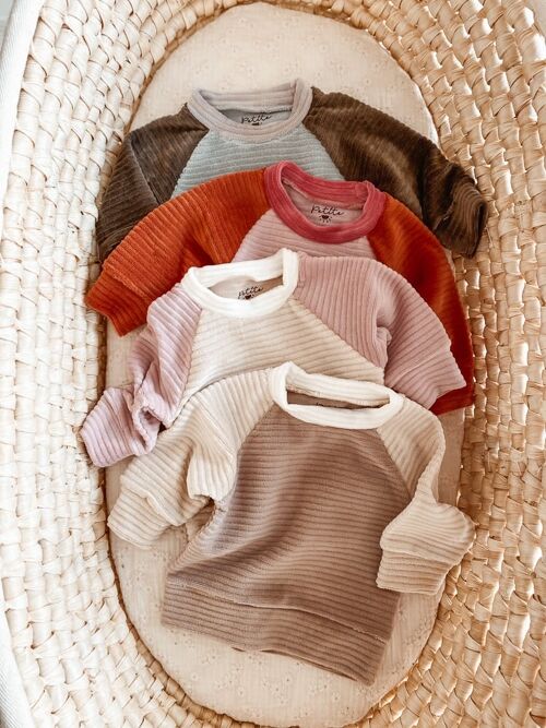 Baby cotton sweatshirt / colorblock