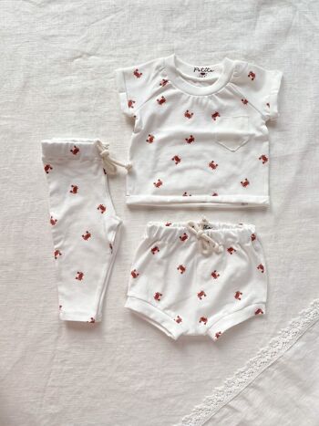 Legging bébé / petits crabes 3