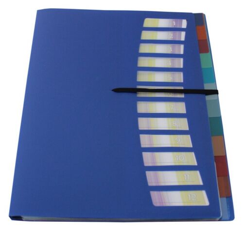 EXXO by HFP Registermappe / Ordnungsmappe / Sammelmappe, A4, aus PP, mit 12 farbig-transparenten Taben, Gummizug, mit Einschubfächern und Ausstanzungen zur Befestigung