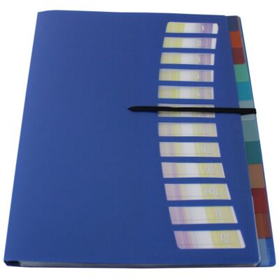EXXO by HFP register folder / order folder / collection folder, A4, made of PP, with 12 colored transparent tabs, elastic band, with slide-in compartments and punched holes for attachment