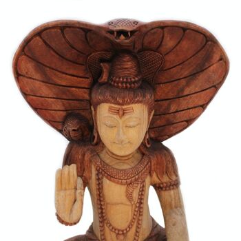 HCBS-25 - Shiva avec Cobra - 50cm - Vendu en 1x unité/s par extérieur 2