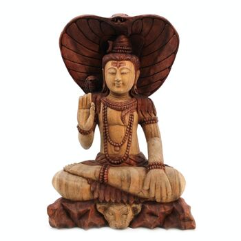 HCBS-25 - Shiva avec Cobra - 50cm - Vendu en 1x unité/s par extérieur 4