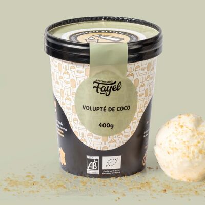 Crème Glacée Volupté de Noix de Coco - 100% bio gourmande et généreuse - pot de 500 ml