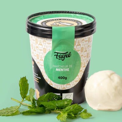 Gelato Fraîcheur de Menthe - 100% biologico goloso e generoso - vasetto da 150 ml