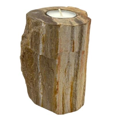 PetW-02 - Petrified Wood Candle Holder - Single Tall - Sold in 1x unit/s per outer