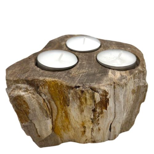PetW-04 - Petrified Wood Candle Holder - Triple - Sold in 1x unit/s per outer