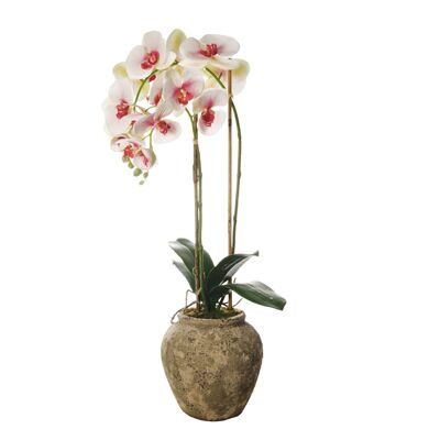 Composición de orquídeas artificiales