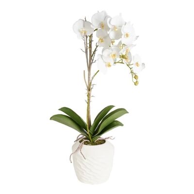 Orchidea artificiale in vaso SHELL H66