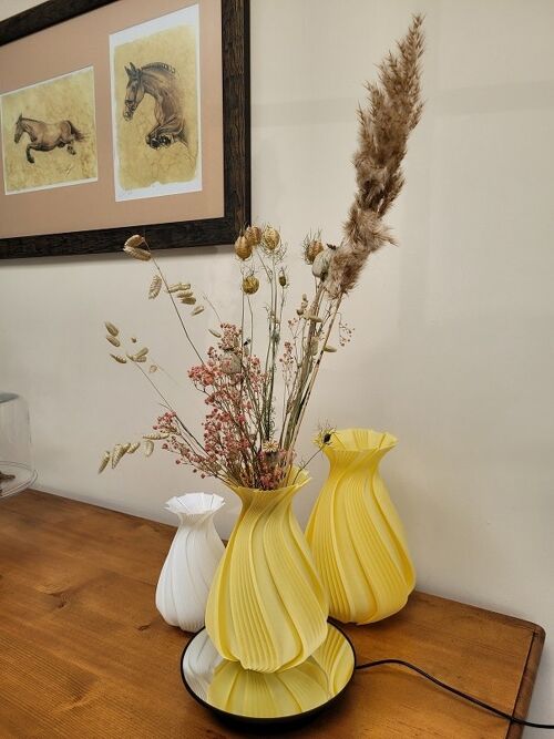 Vase original et Fleurs séchées