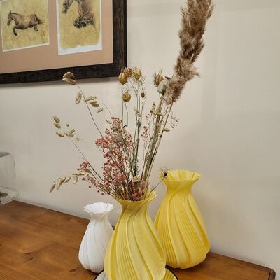 Vase original et Fleurs séchées
