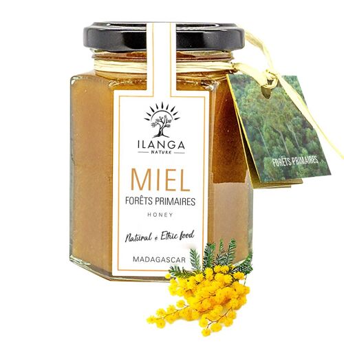 Miel de Forêts Primaires 250g