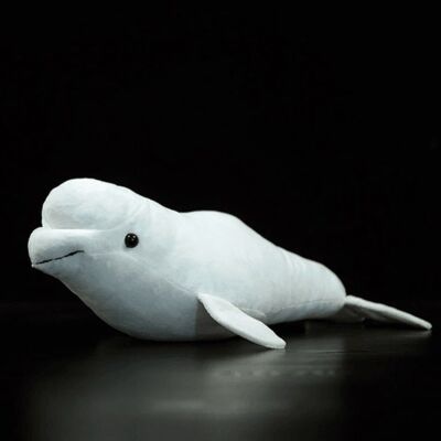 White Whale Plush Toy