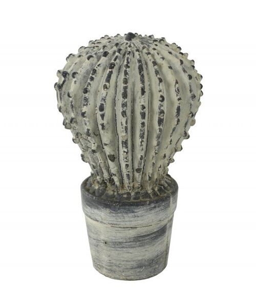 Home accessories - Anthracite concrete cactuses 21cm