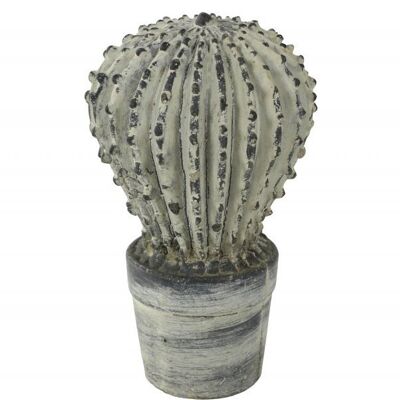 Accesorios para el hogar - Cactus de hormigón antracita 21cm