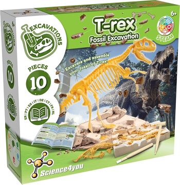 T-Rex - Kit d'excavation de fossiles pour enfants 1