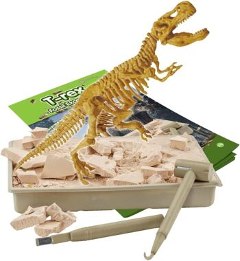 T-Rex - Kit d'excavation de fossiles pour enfants 2