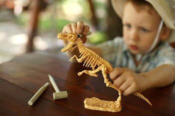 T-Rex - Kit d'excavation de fossiles pour enfants 3