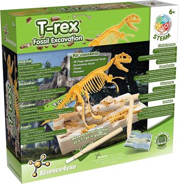 T-Rex - Kit d'excavation de fossiles pour enfants 4