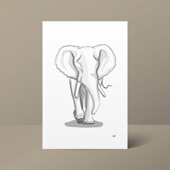 Affiche L'Eléphant 2