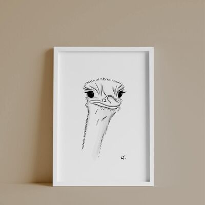 The Ostrich poster