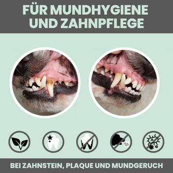 Mélange dentaire pour chiens pour les soins dentaires et une haleine fraîche 4