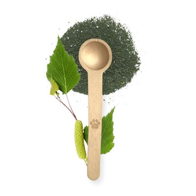 Measuring spoon made of birch wood holds exactly 1g noms+ powder