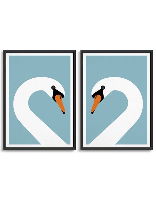 Swan pair - A5 - Blue light