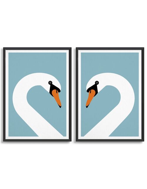 Swan pair - A4 - Blue light