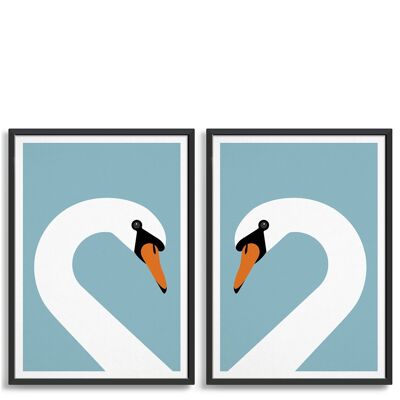 Swan pair - A4 - Blue light