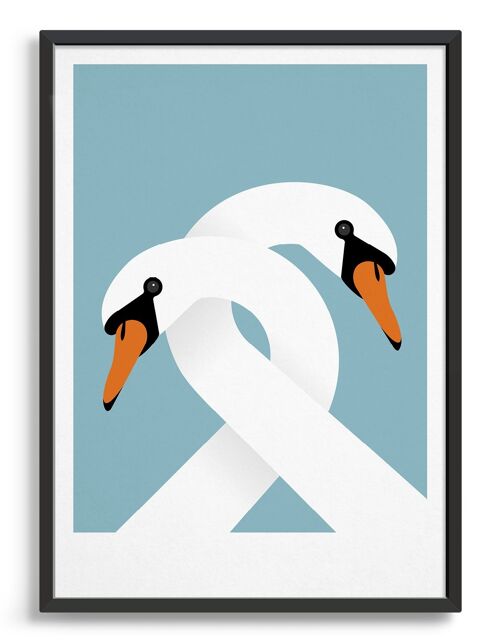 Necking swans - A5 - Blue light