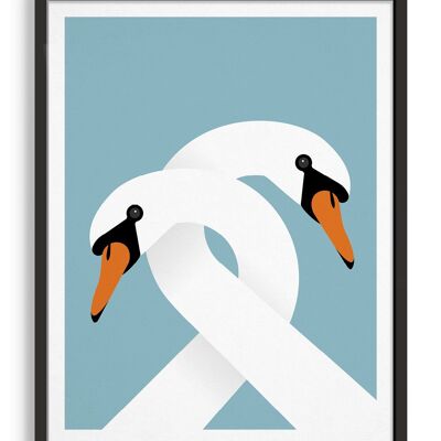 Necking swans - A5 - Blue light