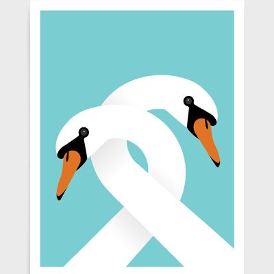 Necking swans - A5 - Blue Aqua
