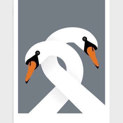 Necking swans - A4 - Grey dark