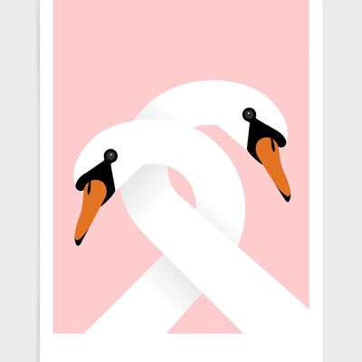 Necking swans - A4 - Pink