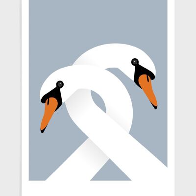 Necking swans - A3 - Grey light