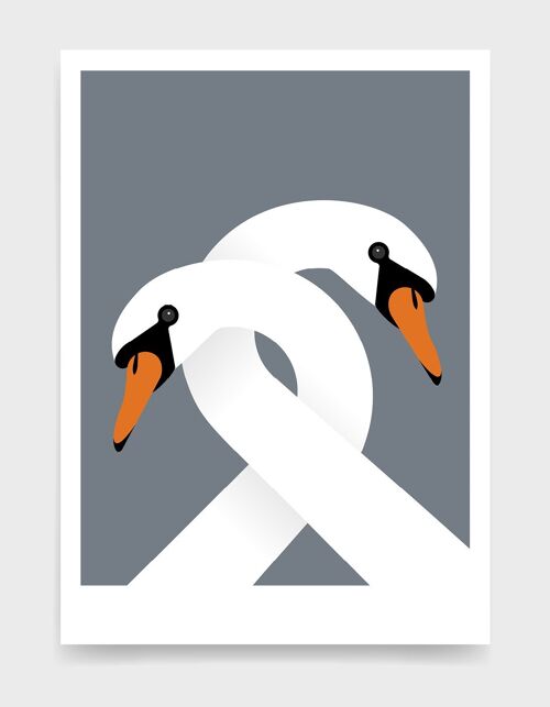 Necking swans - A3 - Grey dark