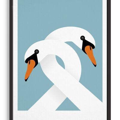 Necking swans - A3 - Blue light