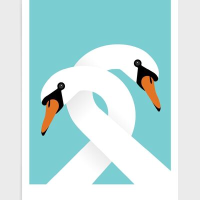 Necking swans - A3 - Blue aqua