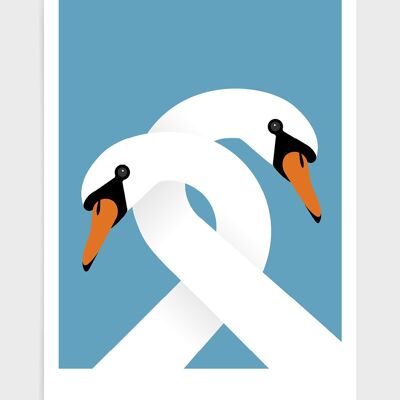 Necking swans - A3 - Blue sky