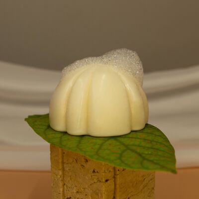 Solid conditioner, Coconut or Rice Flower Perfume